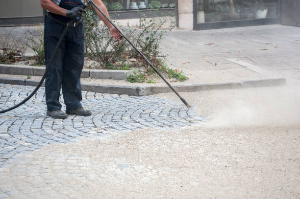 Best Roof Washing  in Centerville, CA