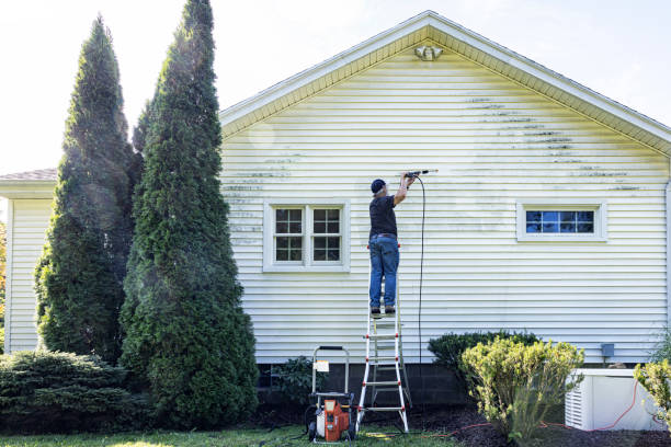 Best Driveway Pressure Washing  in Centerville, CA